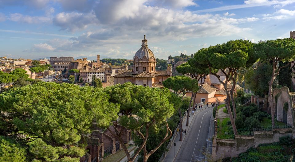Il Foro Romano e i pini di via dei Fori Imperiali visti dal Vittoriano